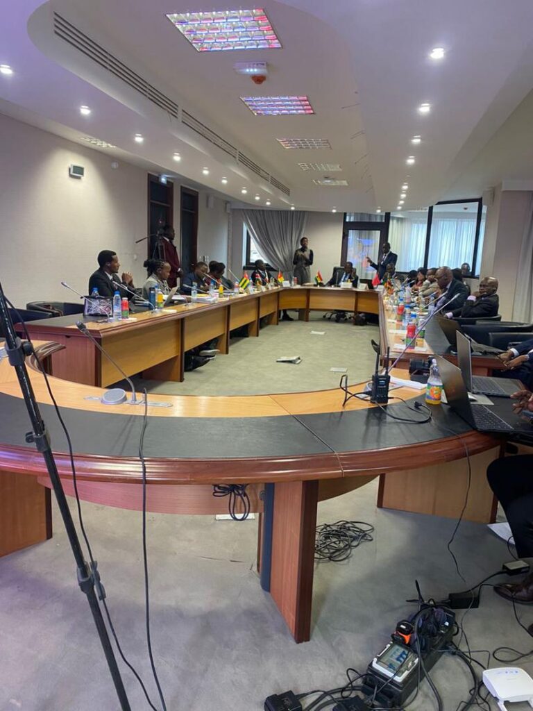 exécution de l'interprétation en service hybride pendant une réunion exécutive