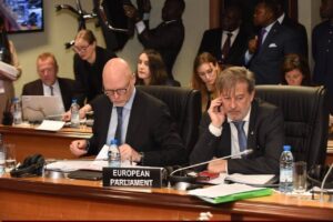 wto-conference-yaounde-interprétation